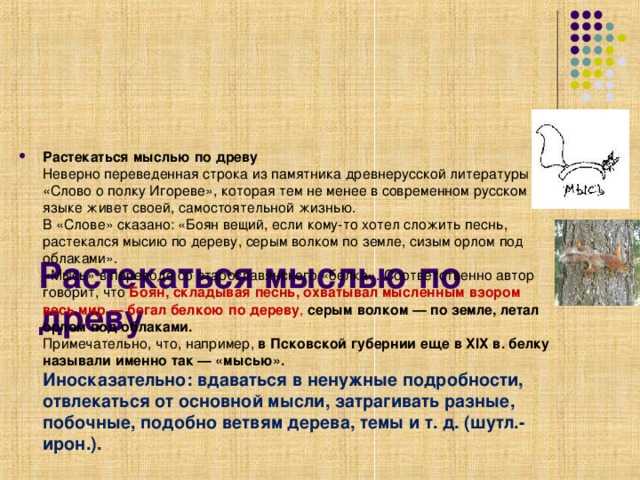 Что значит растекался мыслию по древу. растекаясь мысью по древу
