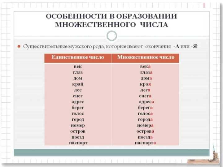 15 слов, во множественном числе которых мы то и дело путаемся