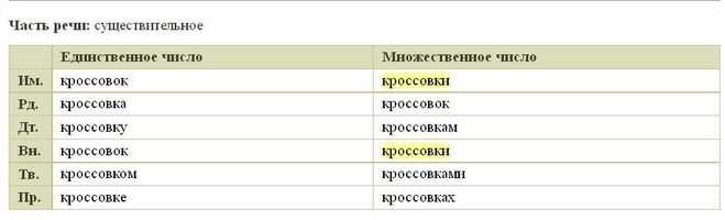 Тапок или тапка: как правильно?