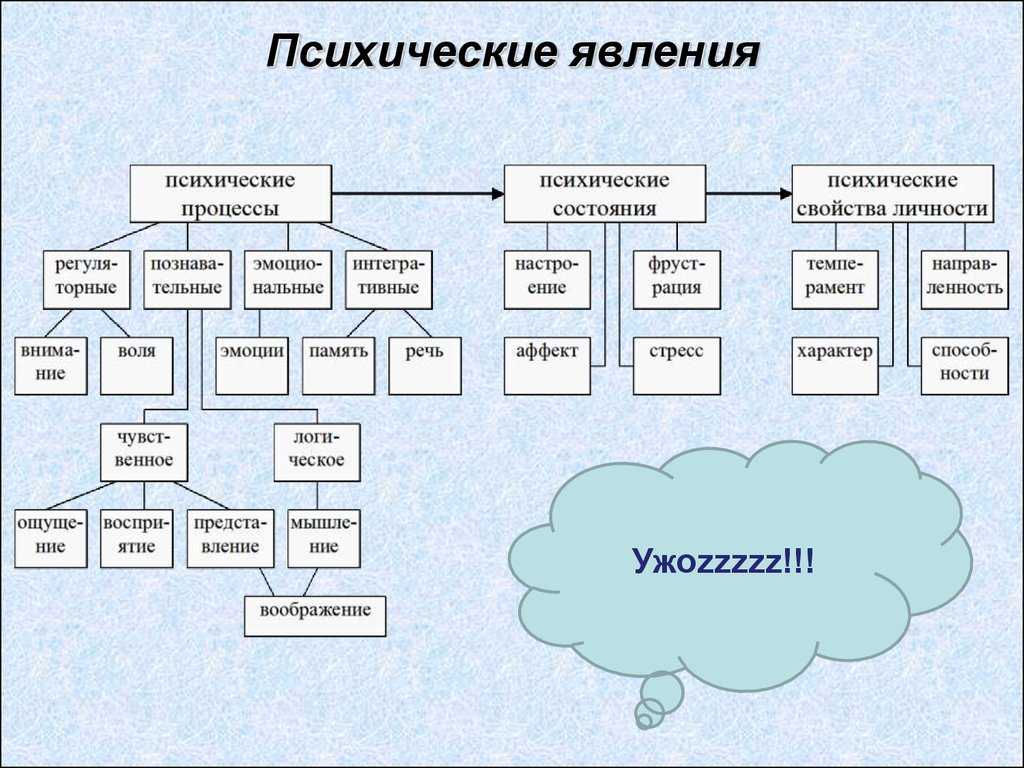 Высшие психические функции