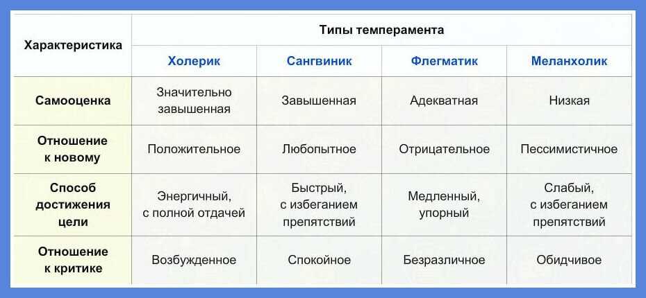 Во сколько лет отдать ребенка в школу: в каком возрасте берут по закону, когда идти в первый класс, когда лучше отправлять - в 8 или 6, и можно ли повременить?