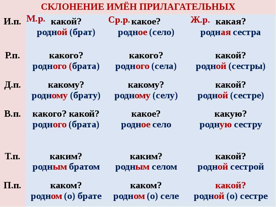 Урок 9: изменение по родам и числам - 100urokov.ru