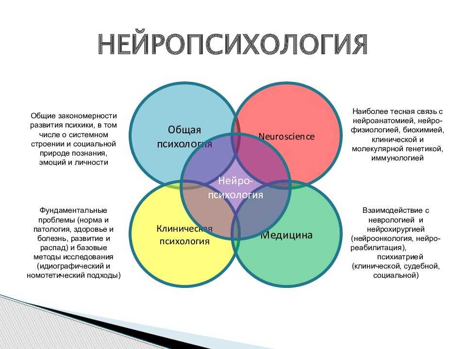 Речь как высшая психическая функция и функциональная система. воспитателям детских садов, школьным учителям и педагогам - маам.ру