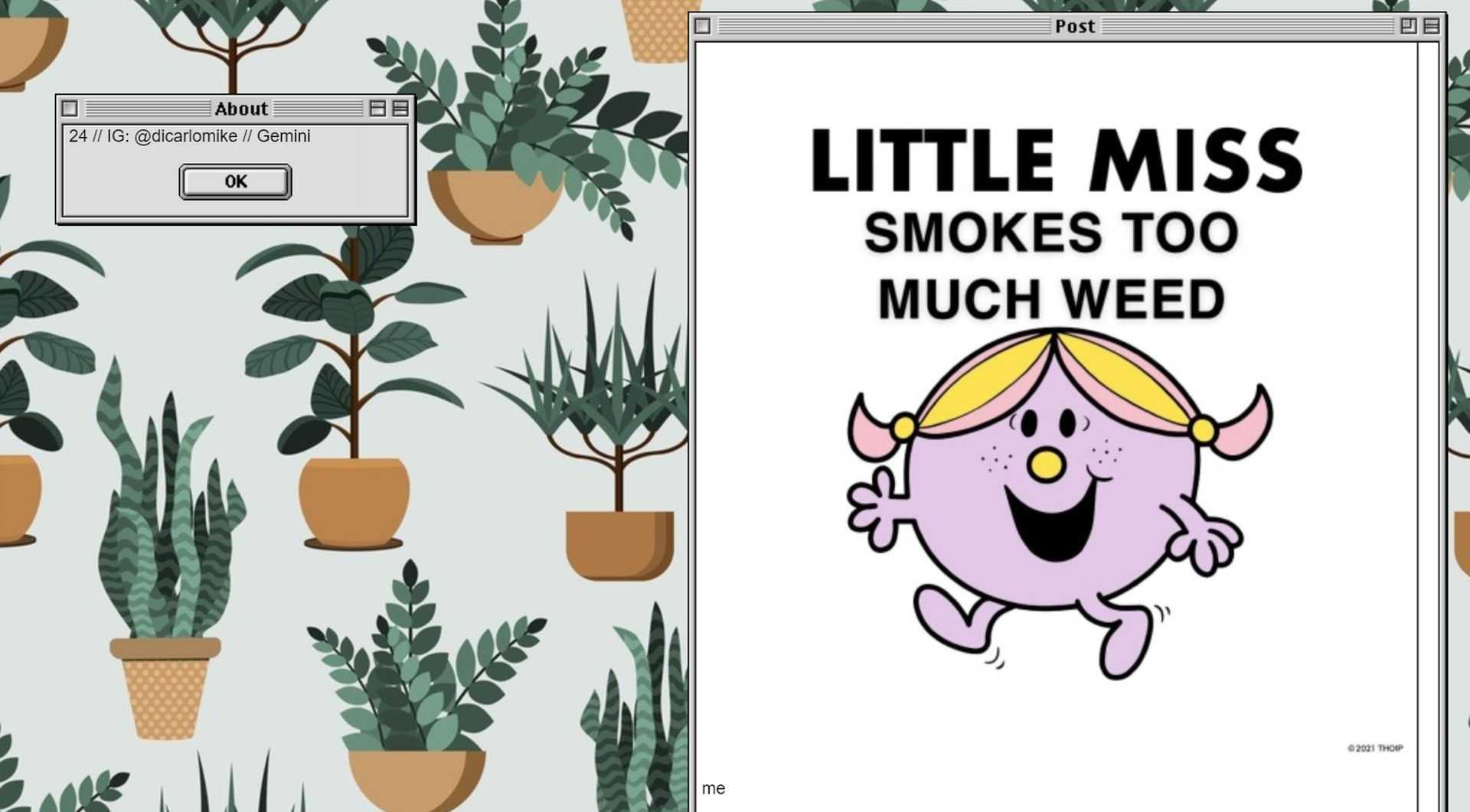 The origin of the “little miss” memes