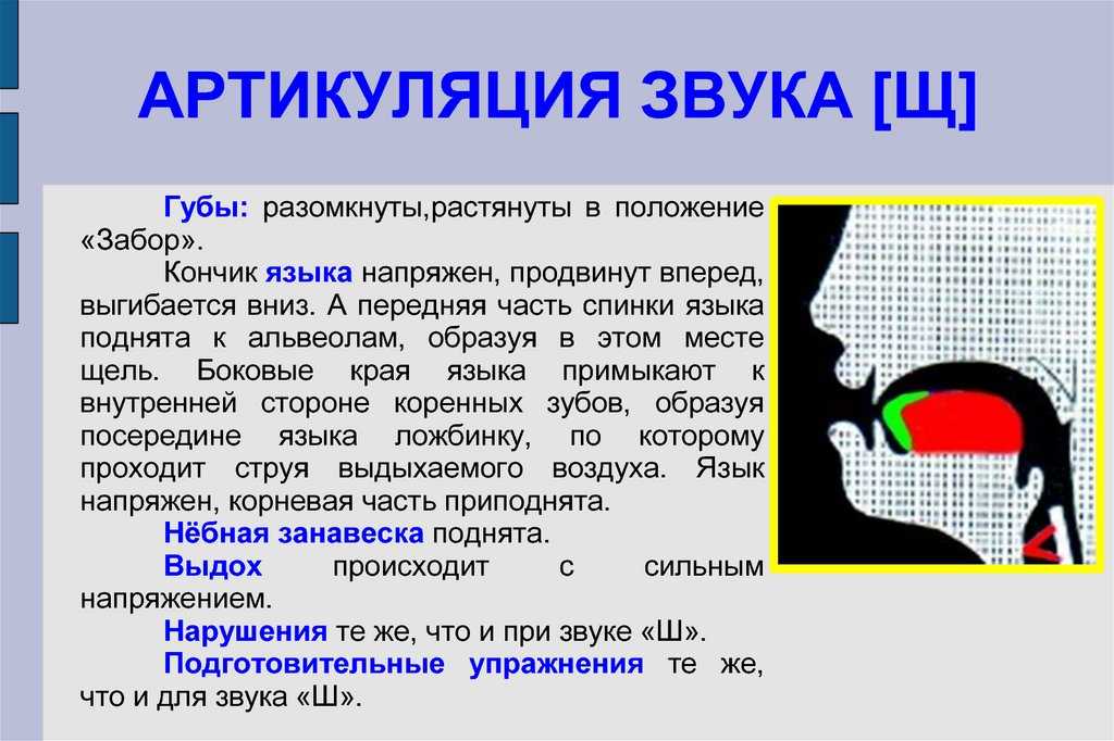 Автоматизация звука (щ) - конспект
