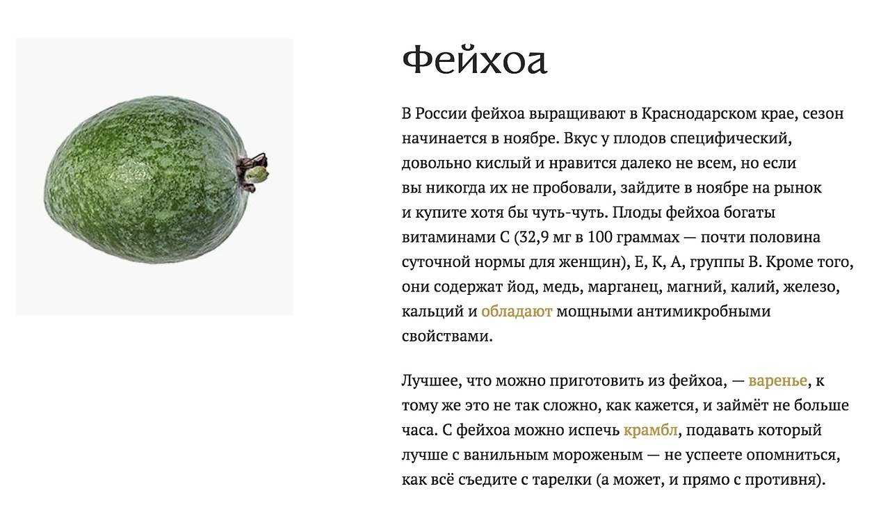 Как правильно выращивать и ухаживать за фейхуа или фейхоа: советы и рекомендации
