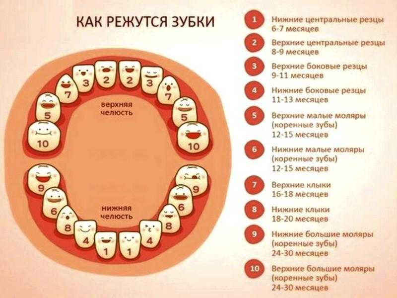 Как отучить ребенка кусаться: консультация для родителей, советы доктора комаровского