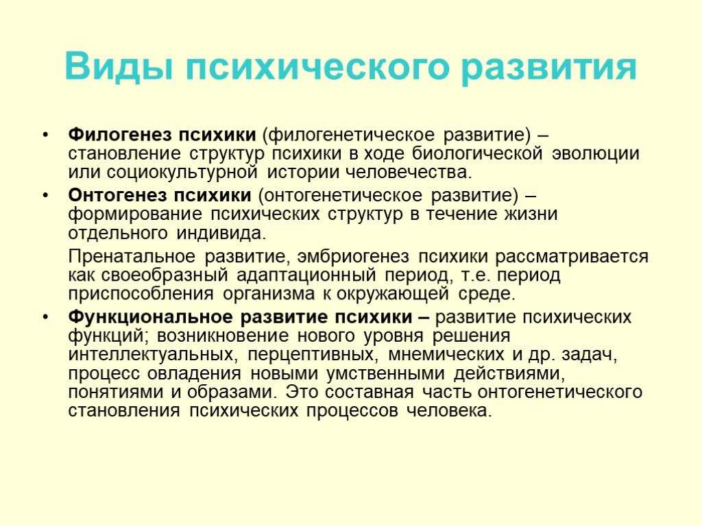Умственное развитие ребенка и мыслительные способности