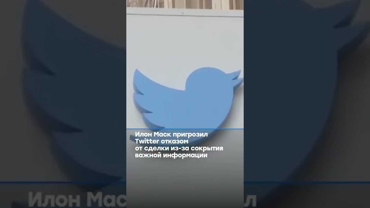 Twitter отказался удалять детское порно, даже когда родители жертвы умоляли об этом. американский мир 2022