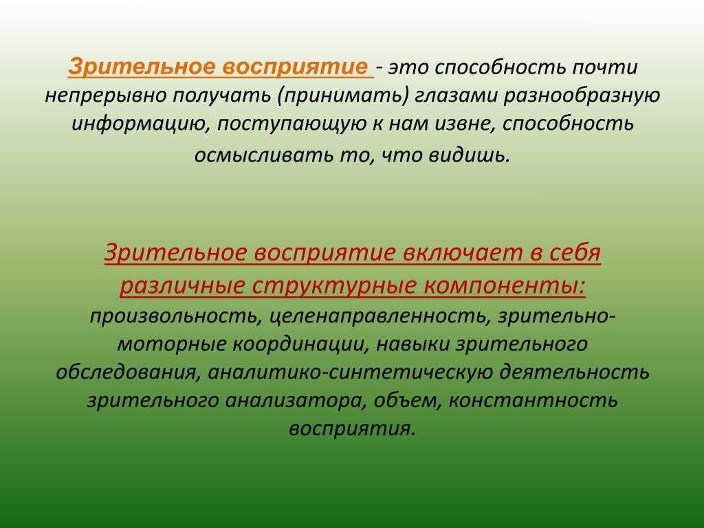 Урок 1. как устроено зрение человека