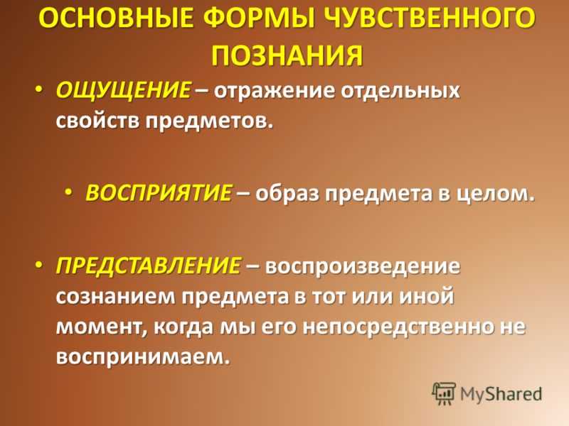 Развитие сенсорных способностей дошкольников: эталоны и действия