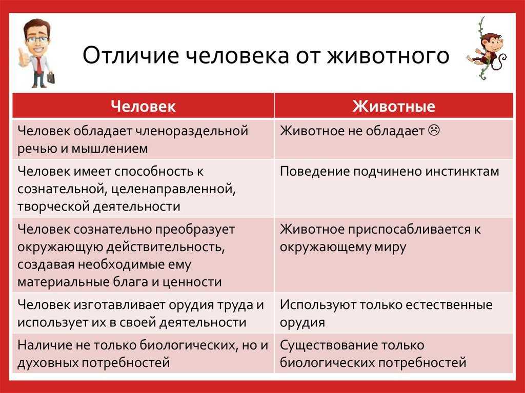 Отличать и различать: в чем разница паронимов