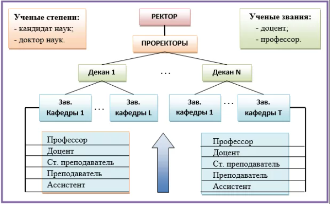 Учёная степень и звание: как не ошибиться в должности преподавателя