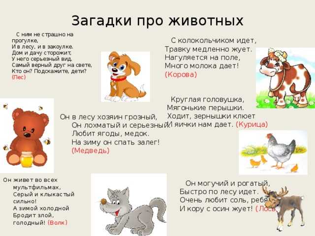 Детские загадки про животных с ответами