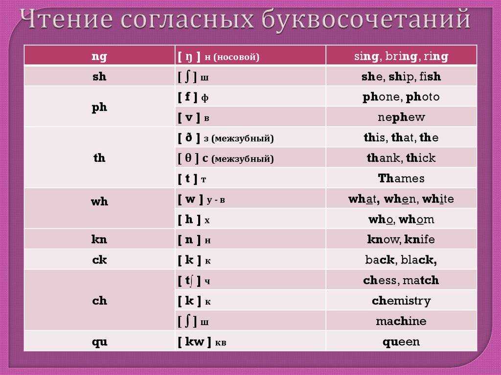 Как и где растут кедровые орехи, на каком дереве