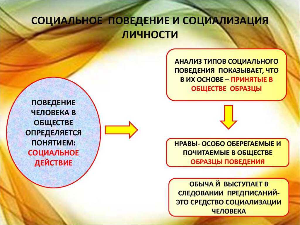 Роль развивающей среды в развитии ребёнка