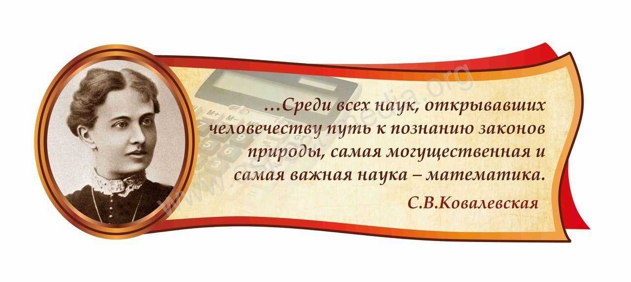 Алексей савватеев: зачем нам математика и почему ее должен знать каждый | рбк тренды
