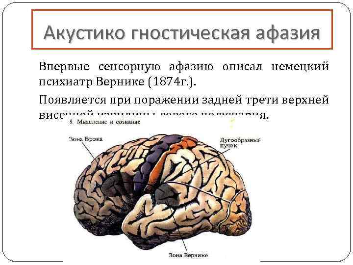 Афазия моторная, сенсорная, амнестическая, семантическая, тотальная - что это, причины, лечение