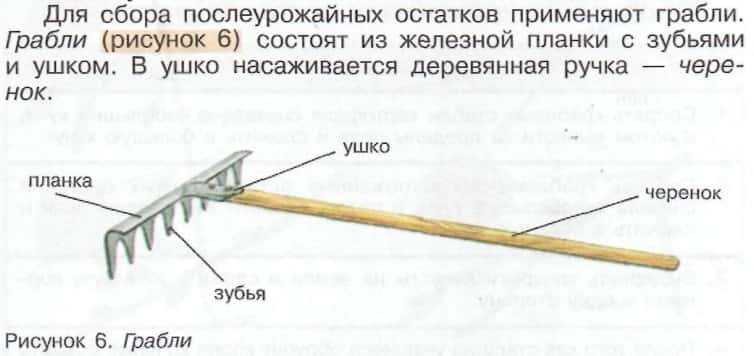 Найдите ошибки на сочетаемость объяснить их предложения исправьте новой русской власти