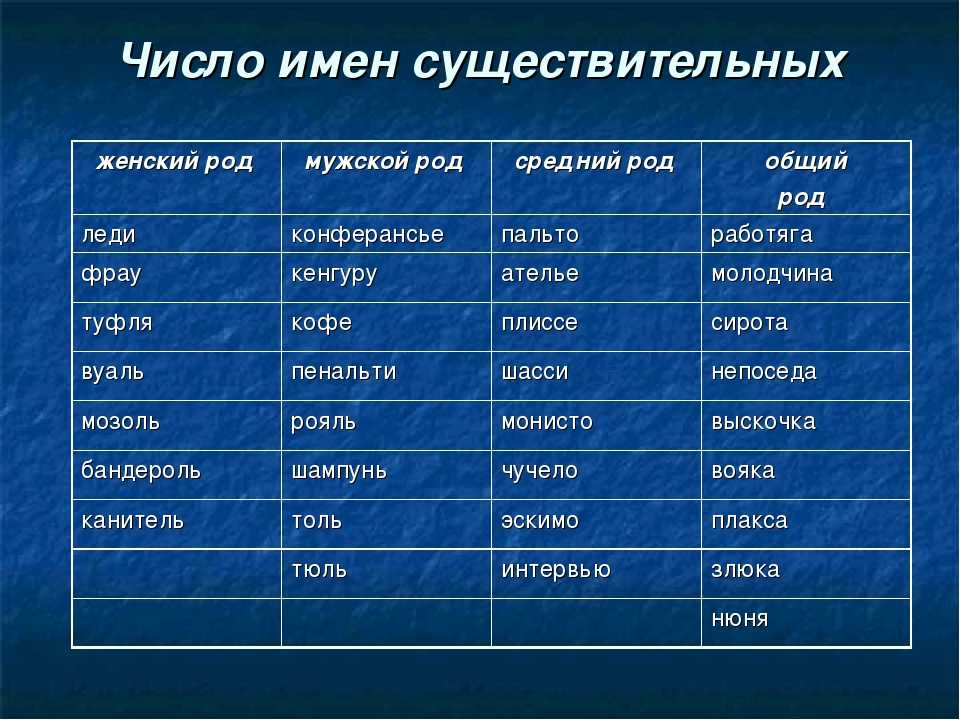 Какой род у слова «смузи»? правила определения рода существительного смузи
