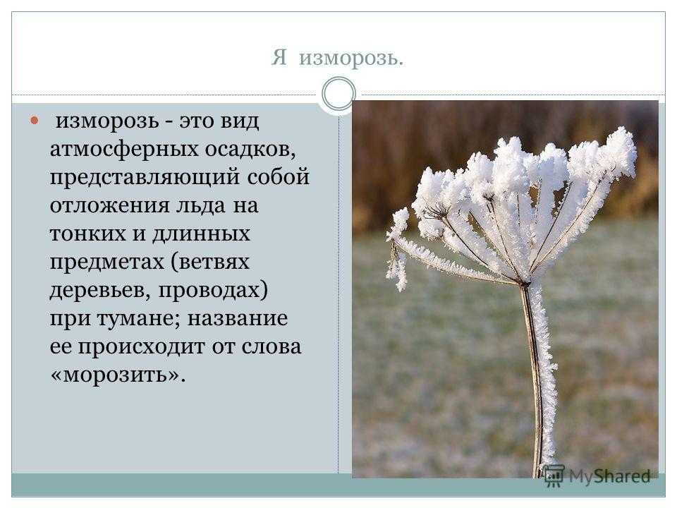 Изморось или изморозь как правильно пишется слово - портал по русскому языку