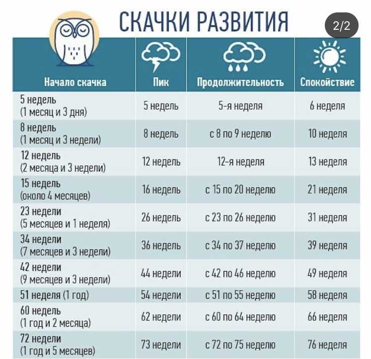 3 главных причины регресса в развитии ребенка: почему малыш начал отставать — parents.ru | parents