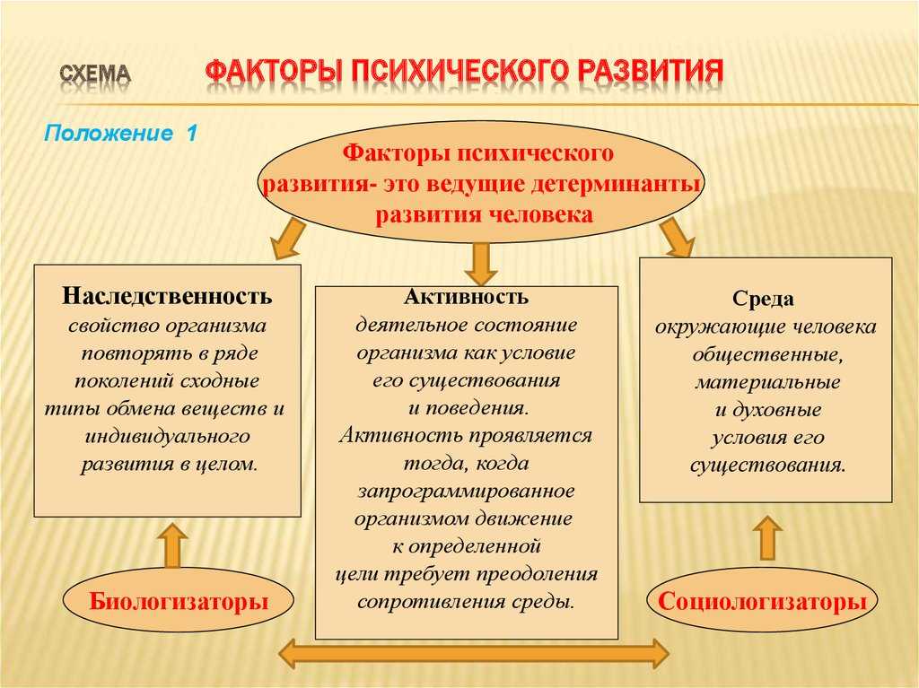 Развитие интеллекта и умственных способностей у детей