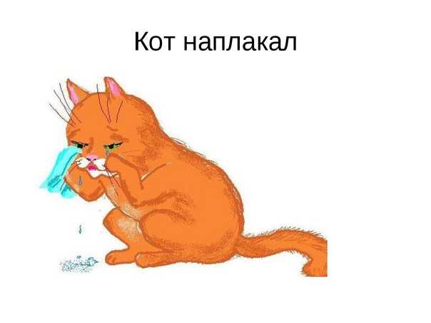 Презентация на тему "обобщающий урок "фразеология"" 7 класс