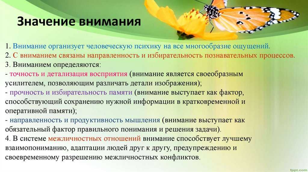 Как развить память у ребенка 8 лет - простые способы