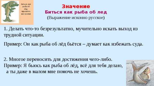 Откуда произошли и что значат популярные фразеологизмы: часть 2