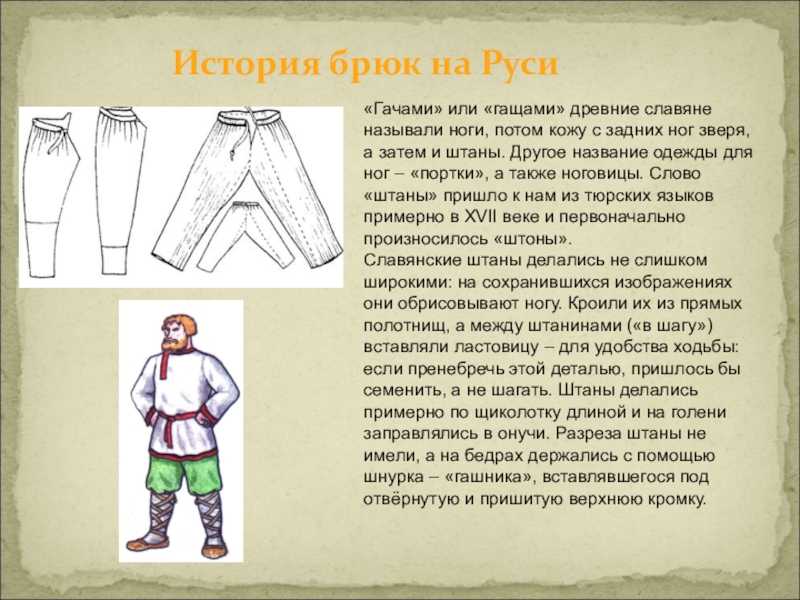 Сегодня слово ширинка означает для нас одно: застежка на передней части брюк Но в сказке Конёк-горбунок, написанной почти 200 лет назад, речь шла совсем не о такой ширинке