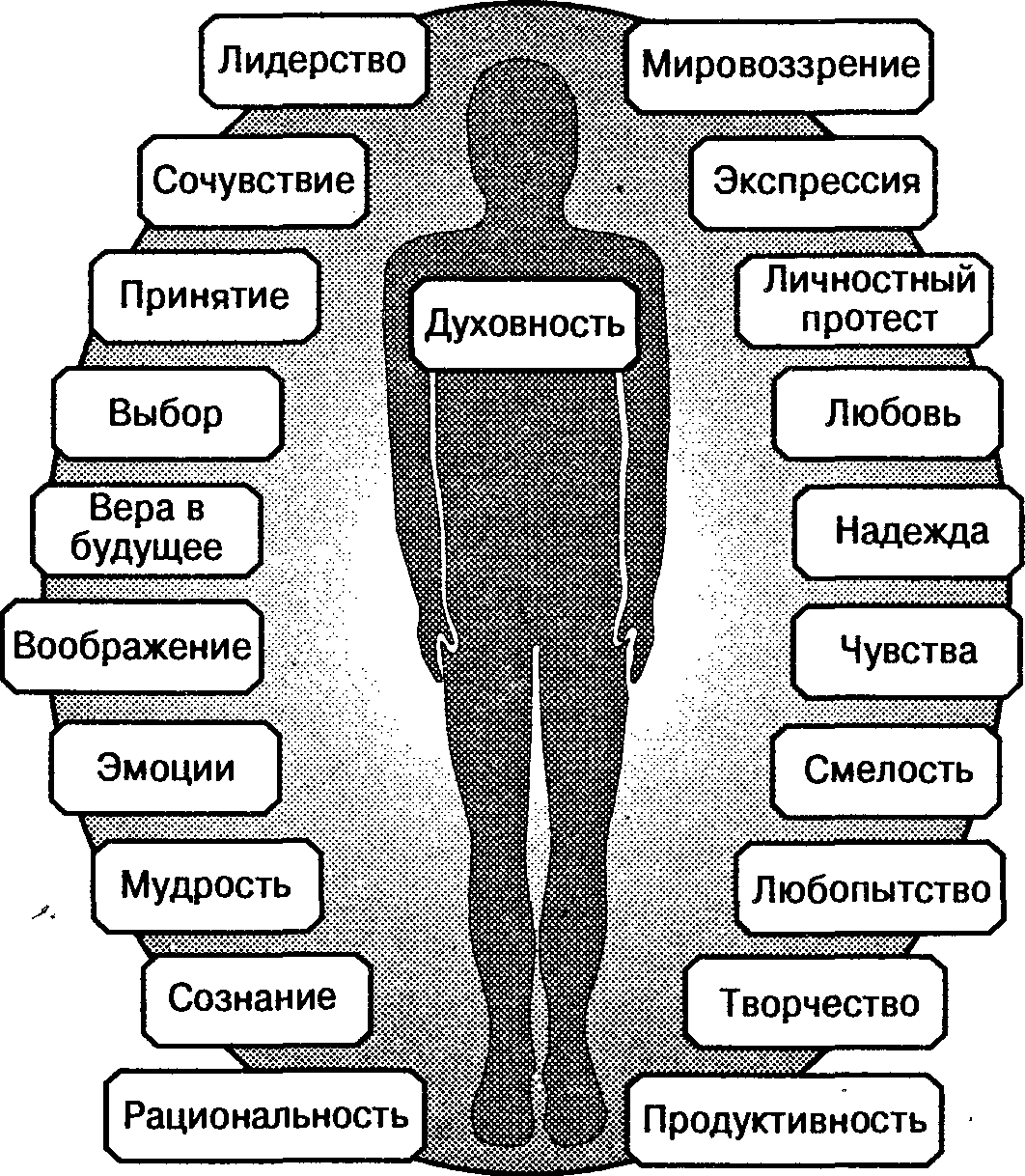 Характеристика личности: какие качества определяют личность | центр развитияцентр развития