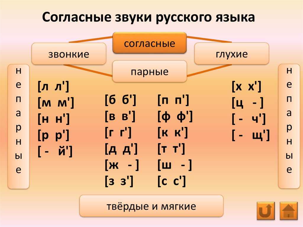 Моя школа 2070 - звуковой и звуко-буквенный анализ