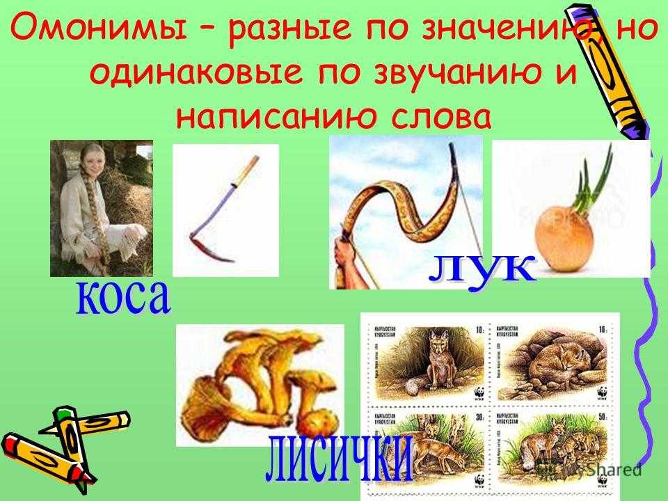 Похожие парные слова с разным значением