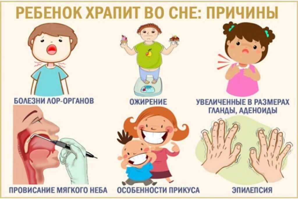 Прежде чем бить тревогу и бежать к врачу необходимо понять почему храпит ребенок а значит нужно уметь отличить храп от сопения