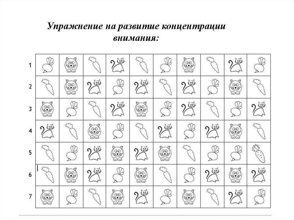 Познавательные процессы младших школьников кратко