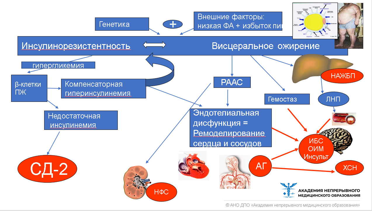 Современный подход к лечению сдвг