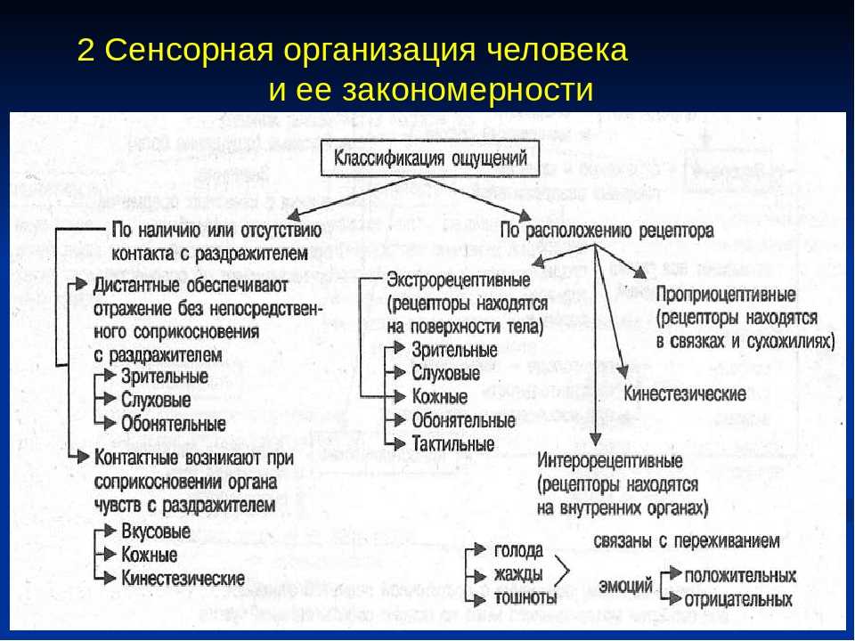 Сенсорное воспитание дошкольника: что это такое и почему оно важно