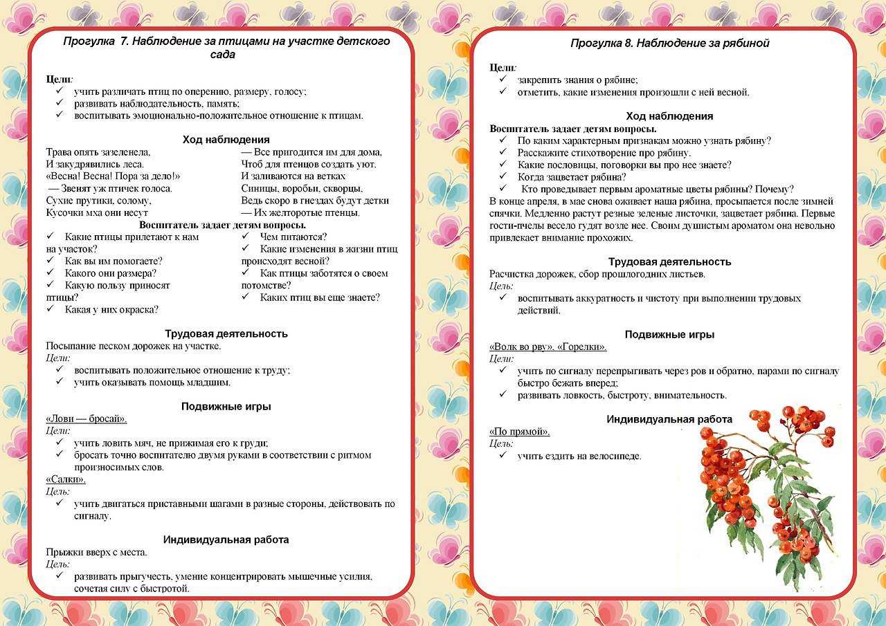 Классификация и виды природных явлений - природные явления