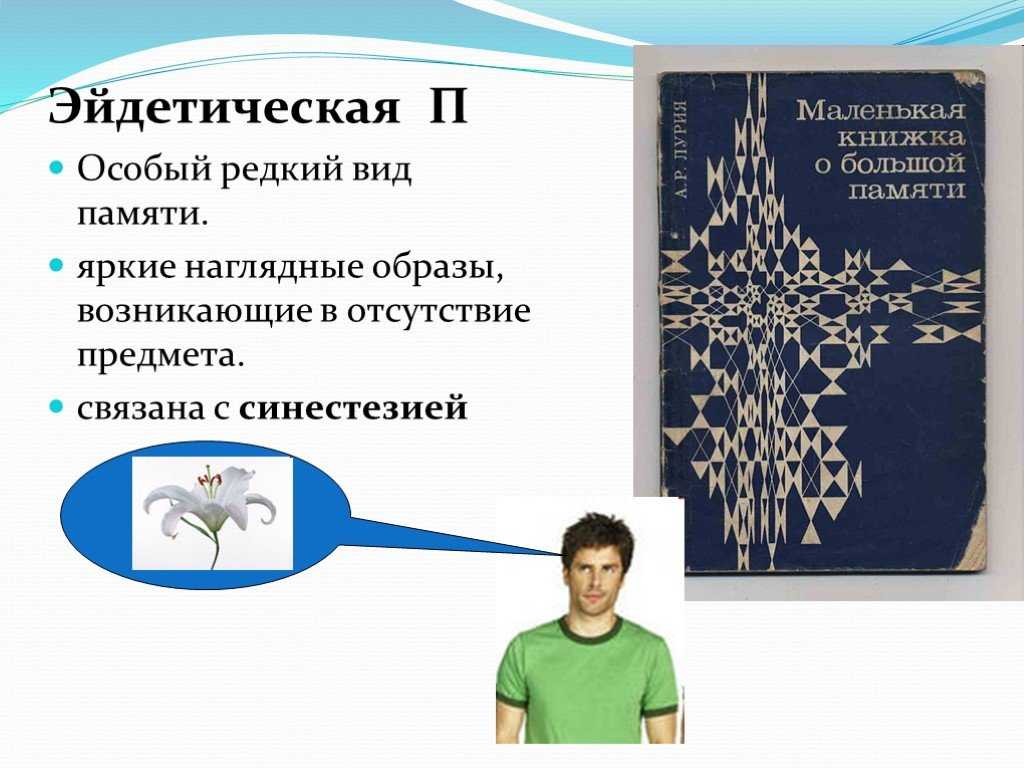 Как развить фотографическую (эйдетическую) память