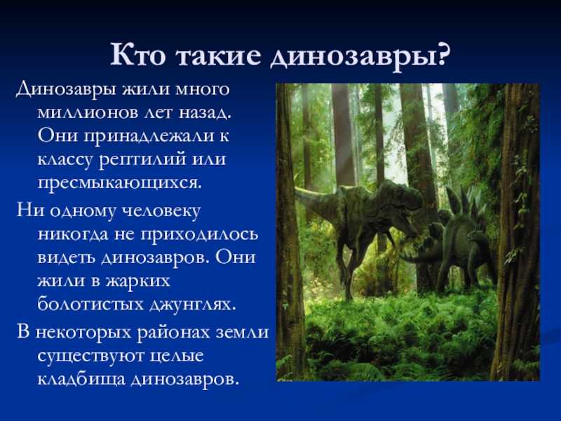 Самые интересные факты о динозаврах с фото и видео