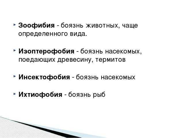 Паническая боязнь насекомых: как избавиться
