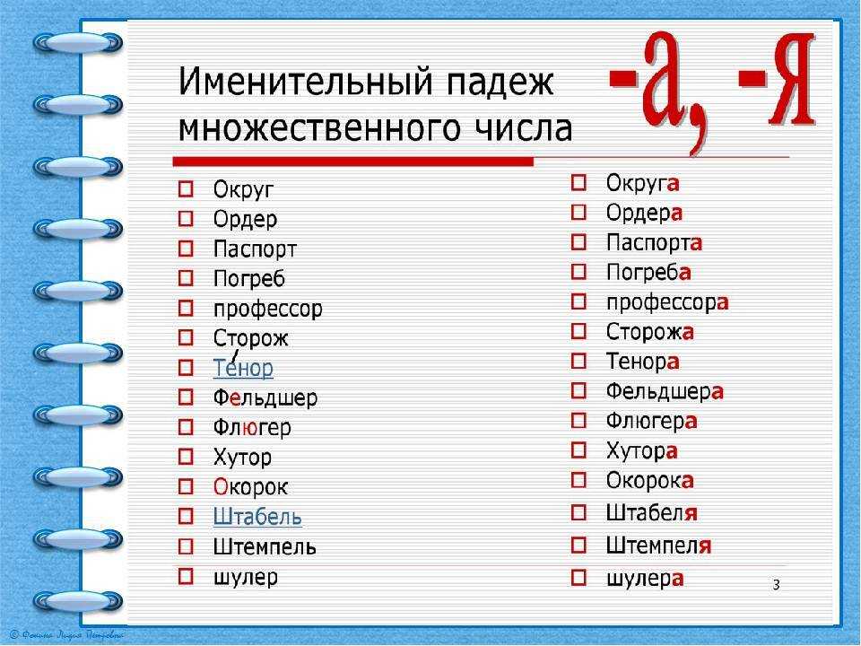 Множественное число существительных