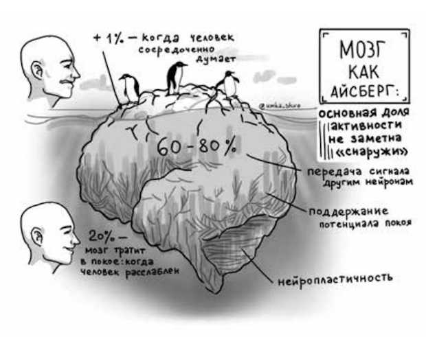 Какой процент нашего мозга мы используем? - невролог, психотерапевт - киев