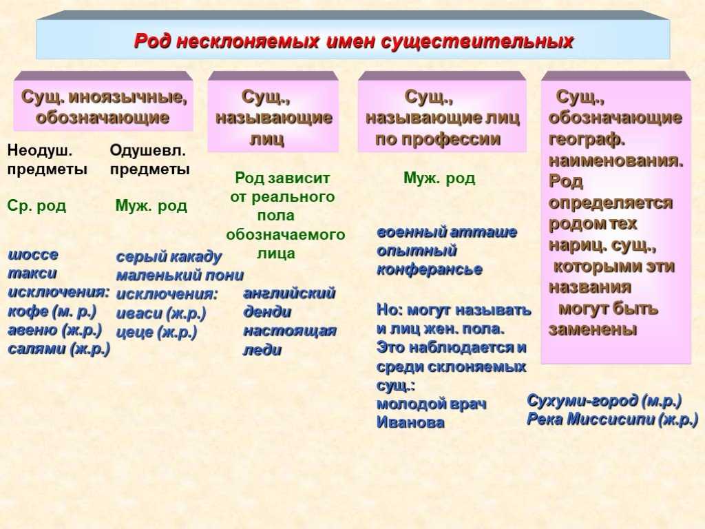 Как определить род имён существительных?