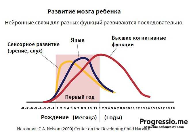 «этапы развития детского мозга» для детей — развитие и воспитание детей — страна детей