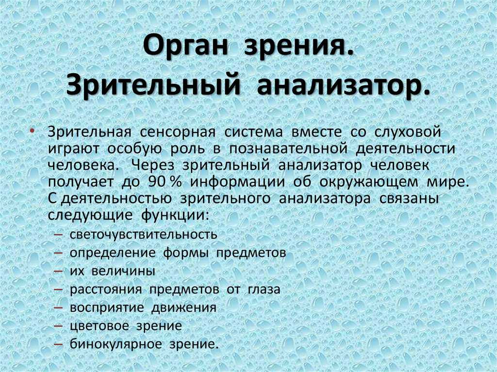 Зрение ребенка: как видит мир ваш малыш