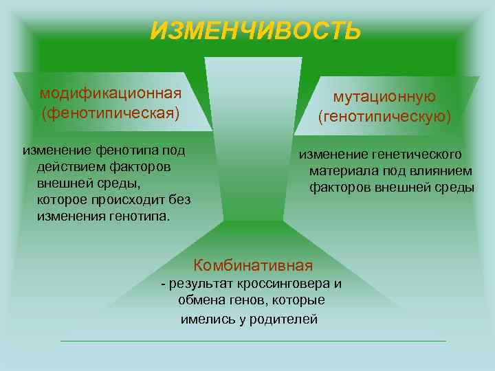 2.1 среда, наследственность и развитие личности. психология личности - методичка