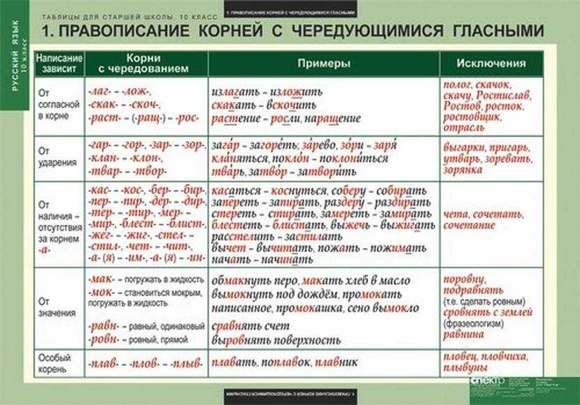 Как правильно писать слова с безударными гласными и делать их разбор