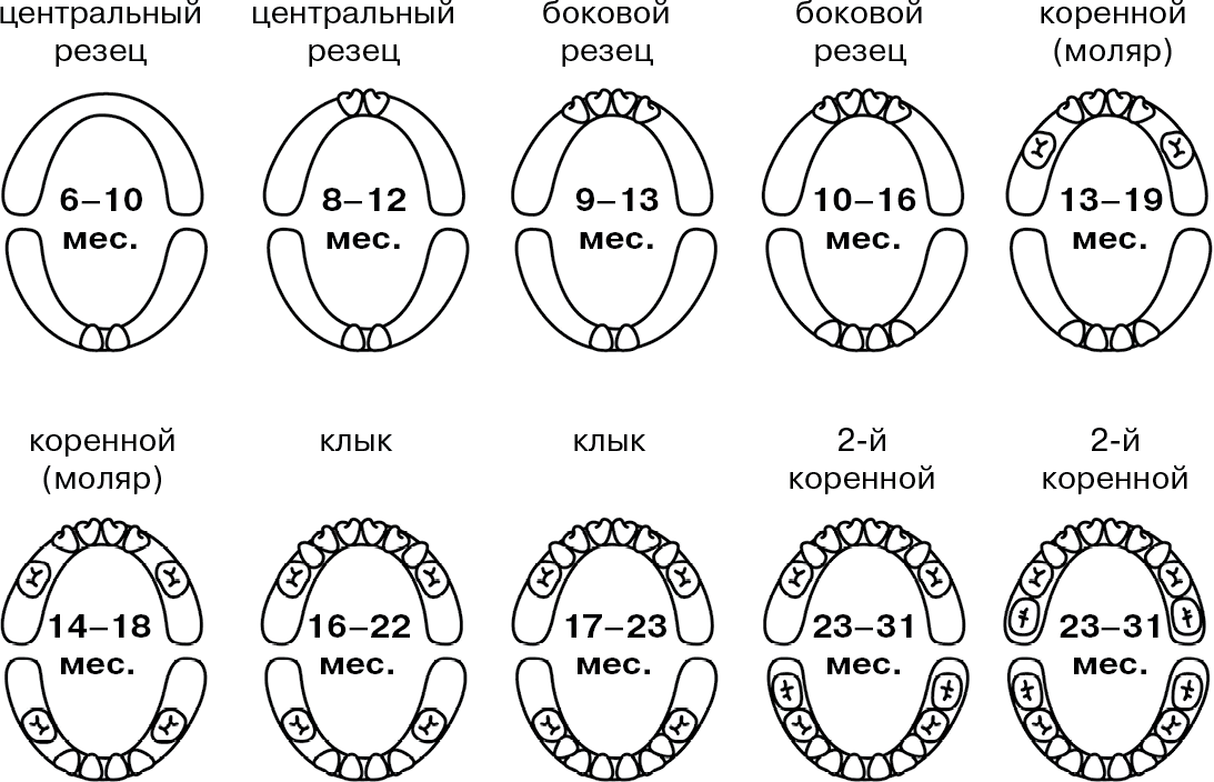 Почему ребенок кусается и как это остановить?